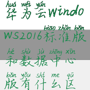 华为云wifi(华为云Windows2016标准版和数据中心版有什么区别)