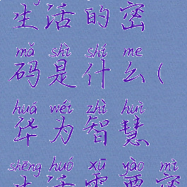 华为智慧生活的密码是什么(华为智慧生活需要密码登录)