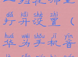 华为音乐扫一扫在哪里打开设置(华为手机音乐扫描不全)