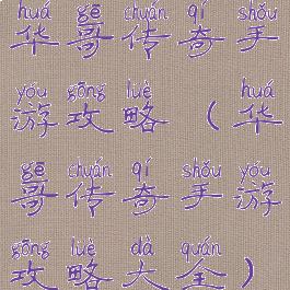 华哥传奇手游攻略(华哥传奇手游攻略大全)
