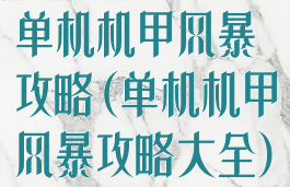 单机机甲风暴攻略(单机机甲风暴攻略大全)