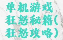 单机游戏狂怒秘籍(狂怒攻略)
