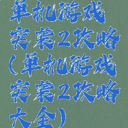 单机游戏突袭2攻略(单机游戏突袭2攻略大全)