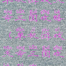 单机游戏天命三国攻略(单机游戏天命三国攻略图文)