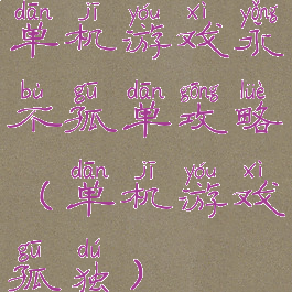 单机游戏永不孤单攻略(单机游戏孤独)