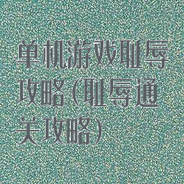 单机游戏耻辱攻略(耻辱通关攻略)