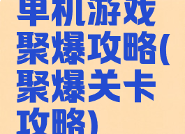 单机游戏聚爆攻略(聚爆关卡攻略)