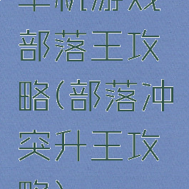 单机游戏部落王攻略(部落冲突升王攻略)