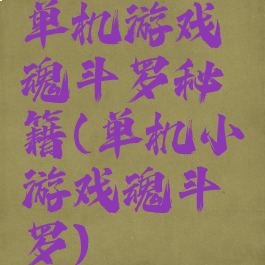 单机游戏魂斗罗秘籍(单机小游戏魂斗罗)