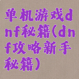 单机游戏dnf秘籍(dnf攻略新手秘籍)