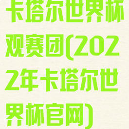 卡塔尔世界杯观赛团(2022年卡塔尔世界杯官网)