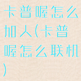 卡普喔怎么加人(卡普喔怎么联机)