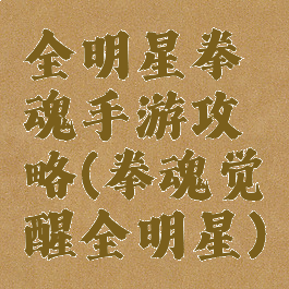 全明星拳魂手游攻略(拳魂觉醒全明星)