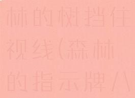 八方旅人森林的树挡住视线(森林的指示牌八方旅人)