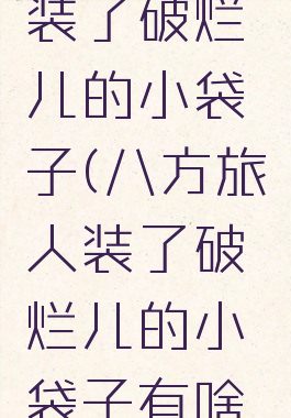 八方旅人装了破烂儿的小袋子(八方旅人装了破烂儿的小袋子有啥用)