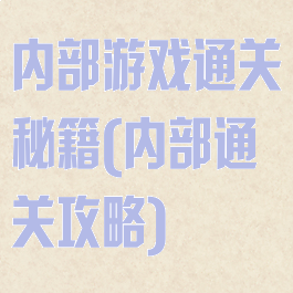 内部游戏通关秘籍(内部通关攻略)
