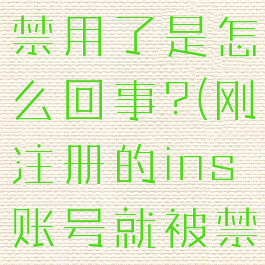 刚注册的ins账号就被禁用了是怎么回事?(刚注册的ins账号就被禁用了是怎么回事啊)