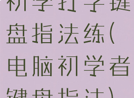 初学打字键盘指法练(电脑初学者键盘指法)