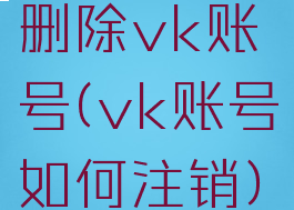 删除vk账号(vk账号如何注销)