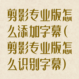 剪影专业版怎么添加字幕(剪影专业版怎么识别字幕)