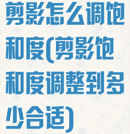 剪影怎么调饱和度(剪影饱和度调整到多少合适)