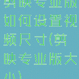剪映专业版如何设置视频尺寸(剪映专业版大小)