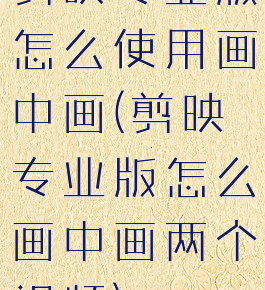 剪映专业版怎么使用画中画(剪映专业版怎么画中画两个视频)