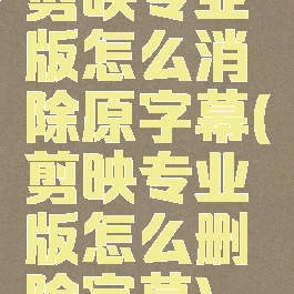 剪映专业版怎么消除原字幕(剪映专业版怎么删除字幕)