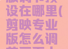 剪映专业版调节预设在哪里(剪映专业版怎么调节画面大小)