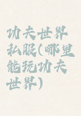 功夫世界私服(哪里能玩功夫世界)