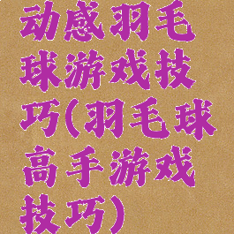 动感羽毛球游戏技巧(羽毛球高手游戏技巧)