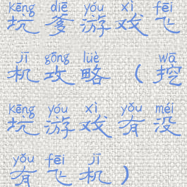 坑爹游戏飞机攻略(挖坑游戏有没有飞机)