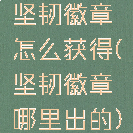 坚韧徽章怎么获得(坚韧徽章哪里出的)