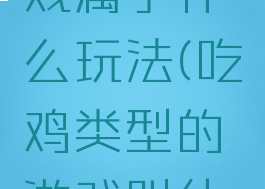 吃鸡类游戏属于什么玩法(吃鸡类型的游戏叫什么)