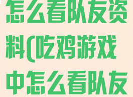 吃鸡在游戏里怎么看队友资料(吃鸡游戏中怎么看队友信息)