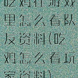 吃鸡在游戏里怎么看队友资料(吃鸡怎么看玩家资料)