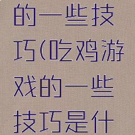 吃鸡游戏的一些技巧(吃鸡游戏的一些技巧是什么)