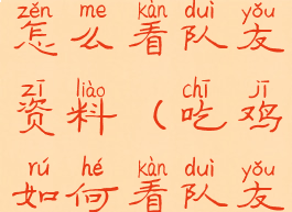 吃鸡游戏里怎么看队友资料(吃鸡如何看队友信息)