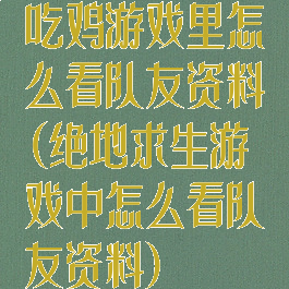 吃鸡游戏里怎么看队友资料(绝地求生游戏中怎么看队友资料)