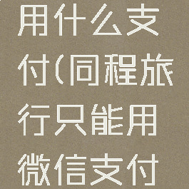 同程旅行用什么支付(同程旅行只能用微信支付吗)
