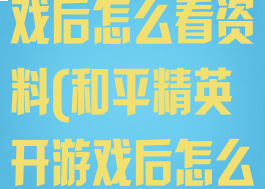 和平精英开游戏后怎么看资料(和平精英开游戏后怎么看资料片)