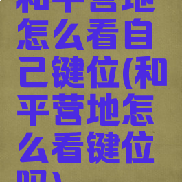 和平营地怎么看自己键位(和平营地怎么看键位吗)