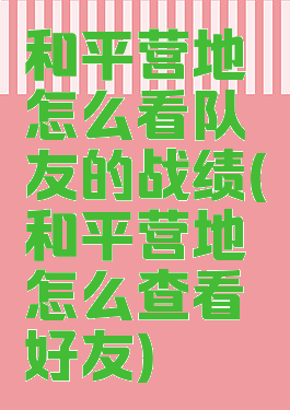 和平营地怎么看队友的战绩(和平营地怎么查看好友)