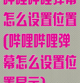 哔哩哔哩弹幕怎么设置位置(哔哩哔哩弹幕怎么设置位置显示)