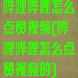 哔哩哔哩怎么点赞视频(哔哩哔哩怎么点赞视频的)