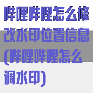 哔哩哔哩怎么修改水印位置信息(哔哩哔哩怎么调水印)