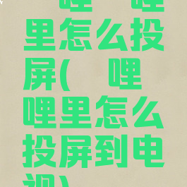 哔哩哔哩里怎么投屏(哔哩哔哩里怎么投屏到电视)