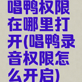 唱鸭权限在哪里打开(唱鸭录音权限怎么开启)