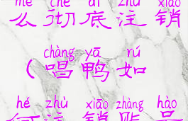 唱鸭账号怎么彻底注销(唱鸭如何注销账号)