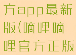 嘀哩嘀哩官方app最新版(嘀哩嘀哩官方正版入口)